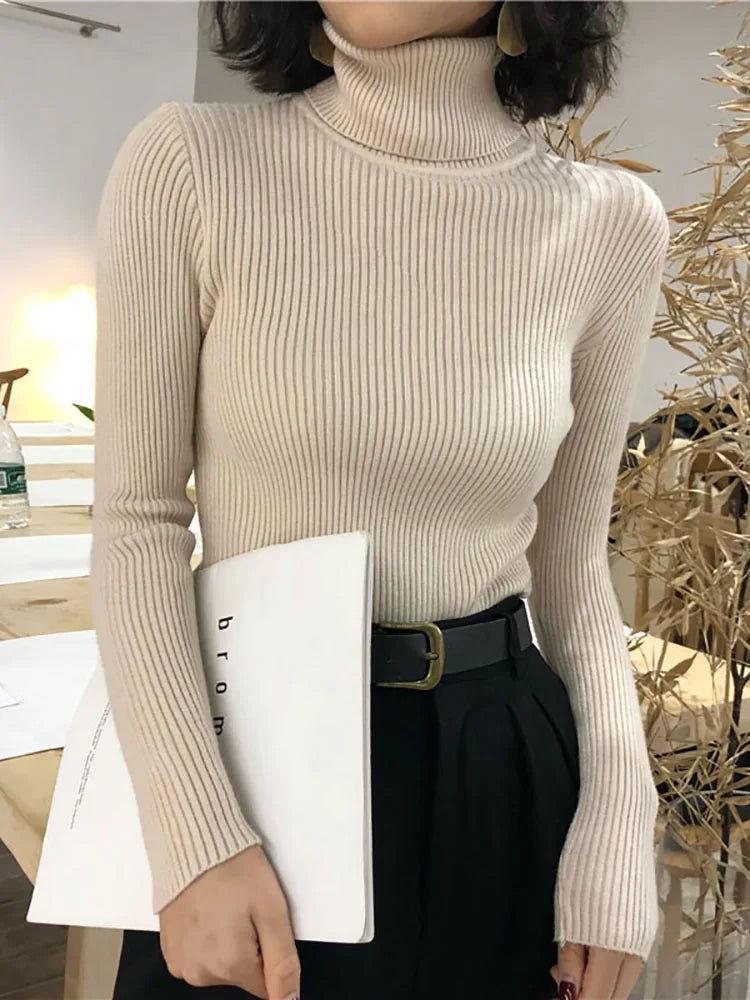 Women’s Turtleneck Slim Fit Knitted Pullover