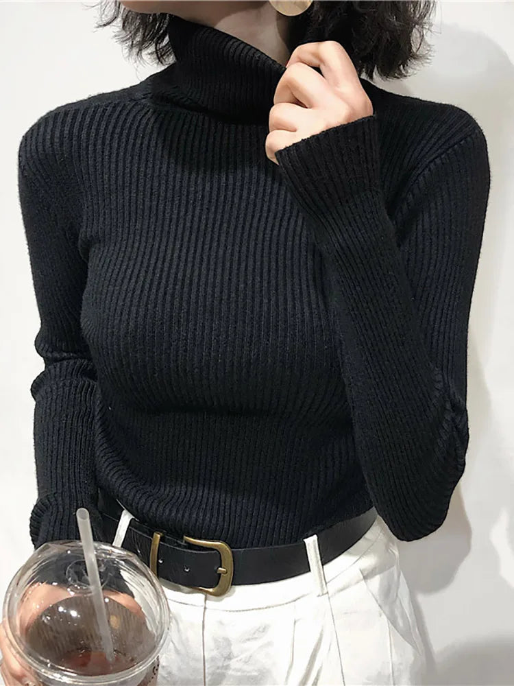 Women’s Turtleneck Slim Fit Knitted Pullover