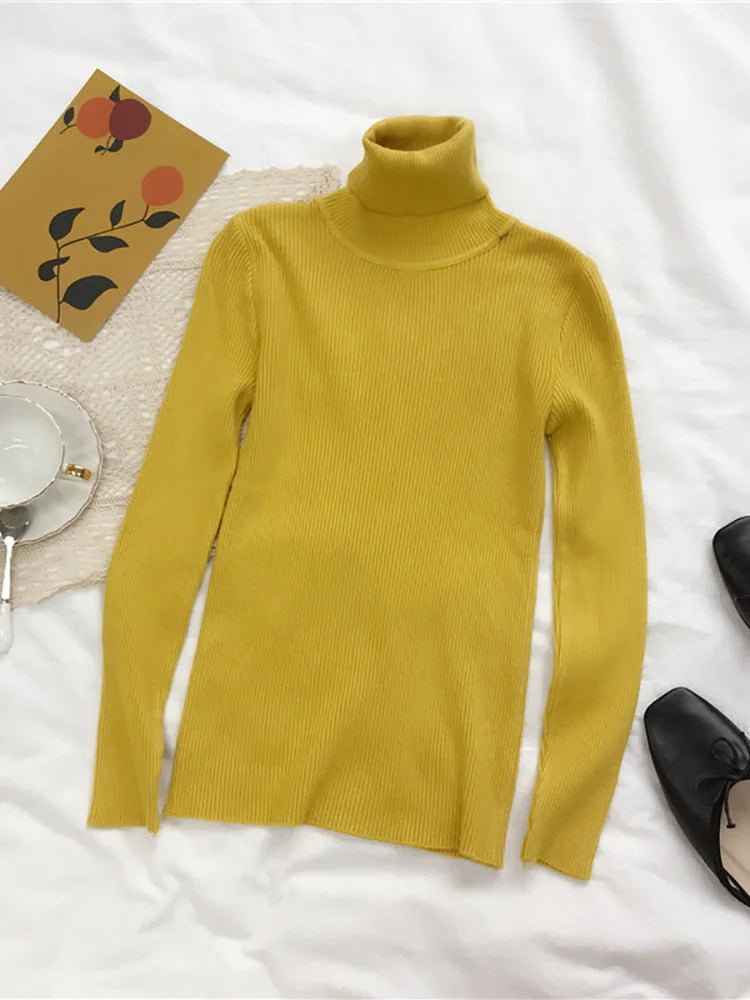 Women’s Turtleneck Slim Fit Knitted Pullover